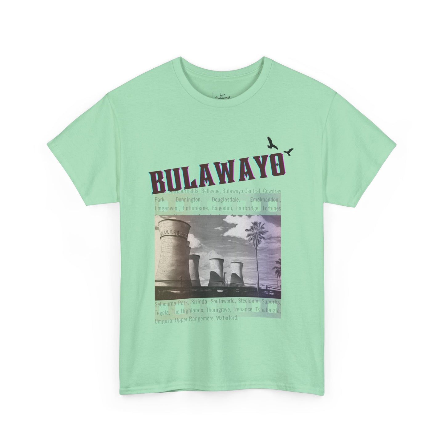 Bulawayo, My Home Unisex Tee